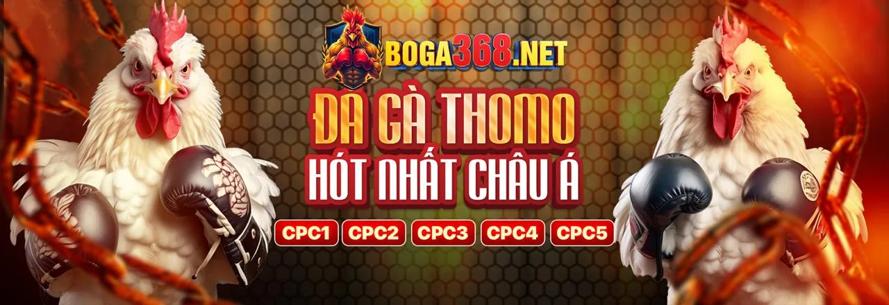 Đá gà trực tuyến kịch tính tại vin7777 code